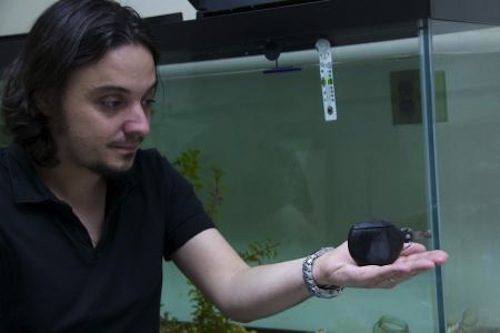 robot fish